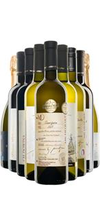 Degustační kolekce SAUVIGNON (10 lahví)
