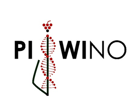 Projekt TAČR SS06020153