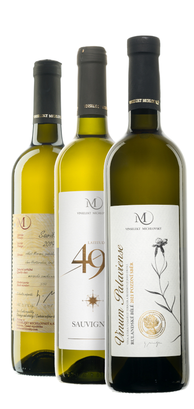 Grilování sýry a saláty (VEGE)