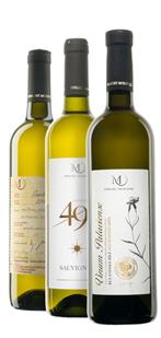 Grilování sýry a saláty (VEGE)