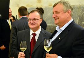 Culture of Russia in Czech Republic 2015 – Classic music and wine