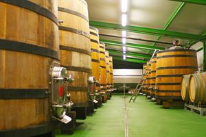 Vineyards, casks, wine gallery...