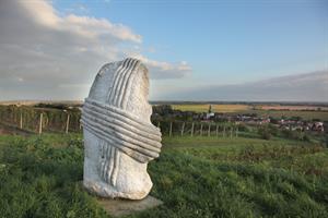 Vineyards, casks, wine gallery...