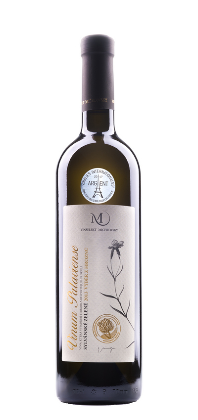Sylvánské zelené 2013 výběr z hroznů